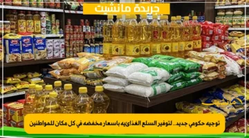 توجيه حكومي جديد.. لتوفير السلع الغذائية بأسعار مخفضة في كل مكان للمواطنين 1